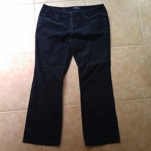 🌺Talbots.Cords🌺